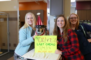 Olive last chemo staff