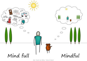 Mindfull vs Mindfulness