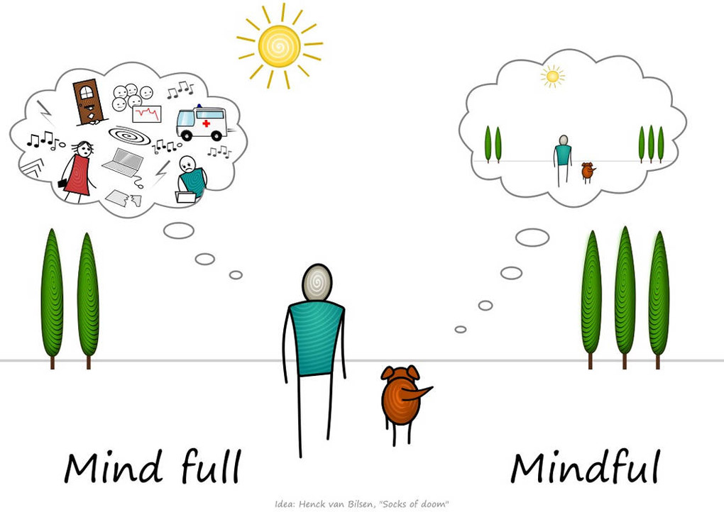 What is mindfulness anyway? - Four Seasons Veterinary Specialists